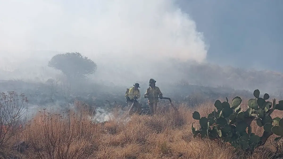 Bomberos combatiendo incendio forestal